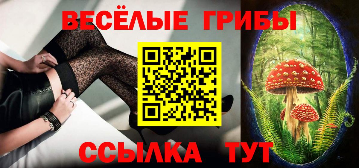 Галлюциногенные грибы ЛСД  Псилоцибиновые грибы ЛСД  Кунгур  Вход с VPN 